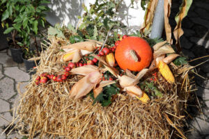 Ein Haufen Heu, geschmückt mit einem leuchtenden Kürbis und frischen Maiskolben, strahlt ländlichen Charme aus.